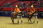 Quadrille - 00027